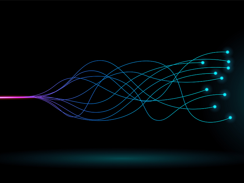 SCICUS International